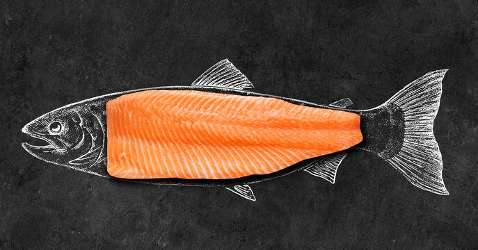 Fresh salmon fillet in the shape of a fish. Salmon fillet isolated. Conceptual image of a slice of red fish close-up