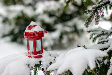 Red lantern on branches of spruce covered with snow