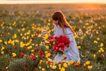 Naklejka na ściany i meble Woman field tulips sunset. Woman against sunset and wild tulip flowers, natural seasonal background. Multi-colored tulips Tulipa schrenkii in their natural habitat are listed in the Red Book.