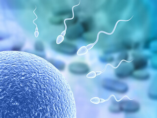 3d illustration Human sperm and egg. 3d illustration.