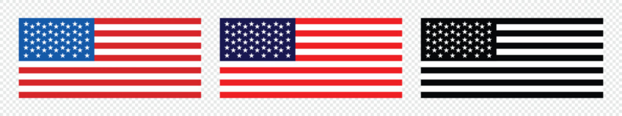 Vector American on Isolated Background Flag in Flat Style