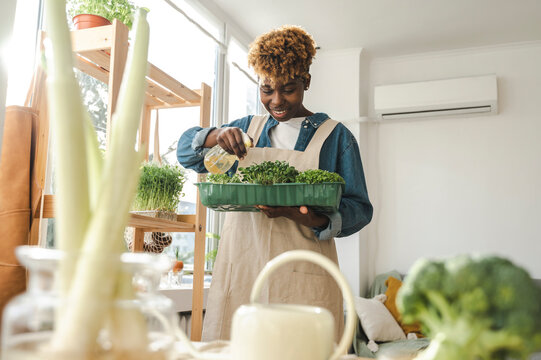 Smiling Woman Spraying Plants In Container At Home