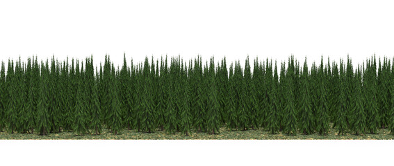 forest line, trees in the forest with grass and fallen leaves, isolated on white background, 3D illustration, cg render
