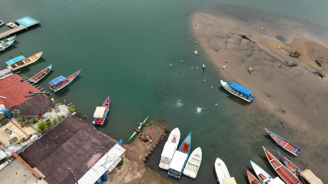 Flamingos catch fish in the port of a small town of Mochima in Mochima National Park, Venezuela.