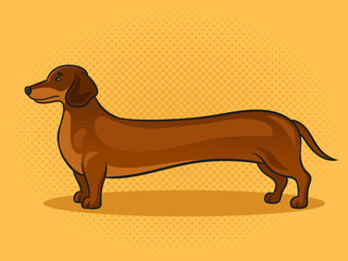 very long dachshund dog pinup pop art retro raster illustration. Comic book style imitation.