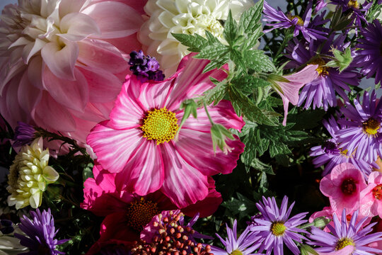 Full frame of bouquet of seasonal flowers