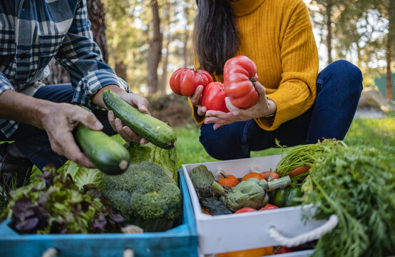 Man and woman taking vegetables from crate