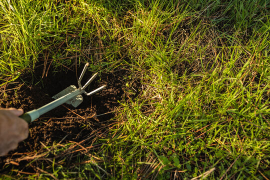 Close-up Of Man Digging With Gardening Shovel