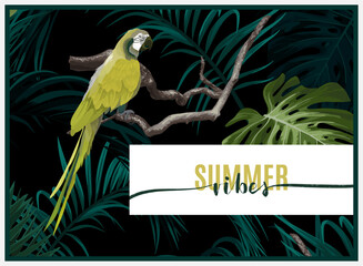 Dark tropical design with exotic monstera and royal palm leaves, blue macaws and branches. Vector illustration.