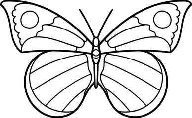 Butterfly line art illustration. Vector illustration. Coloring.
