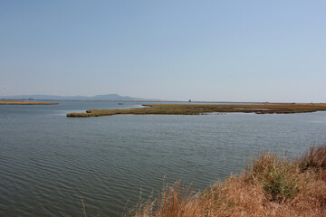 Delta Evros National Park, Evros Thraki Greece