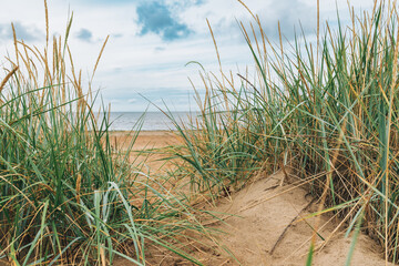 Halmstad West beach, grass at sandy shoreline of Kattegat Sea on overcast summer day. Beautiful...