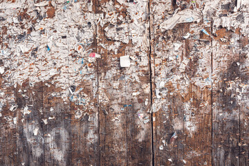 Old worn wooden notice board with scrap paper and rusty staples as grunge texture