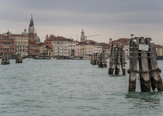 Wooden navigation poles and birds in Venice, Italy