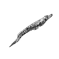 Naklejka premium Black and white sketch of a crocodile with transparent background