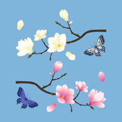 목련과 나비 일러스트