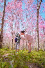 Fototapeta premium Mother and son holding hands and kissing each other in the forest park. romantic emotion moment. Pink Cherry Sakura Blossom in Thailand. for valentine's and mother's day concepts. family travel.