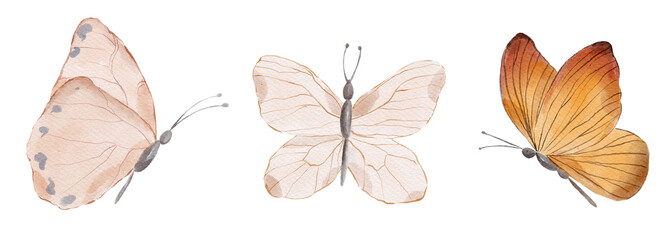 Set of watercolour cute butterflies.  - 568708929