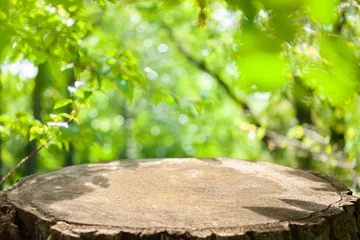 Foto op Plexiglas forest stump bokeh background © Ray Park Stock Photo