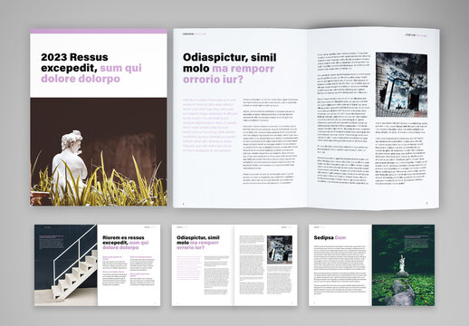 Company Report Brochure