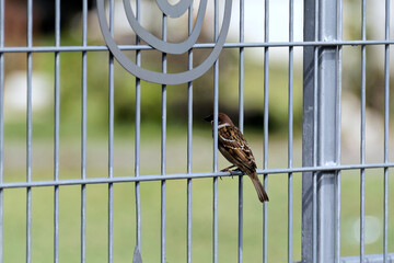 Kualalumpurimpressionen