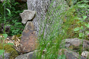 petit empilage de pierre servant à se repérer au bord d'un chemin dans une foret en Auvergne