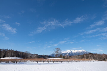 Fototapeta na wymiar 雪景色の開田高原　長野県