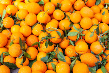 oranges in the market