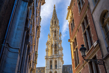 Obraz premium Grand Place in old town Brussels, Belgium city