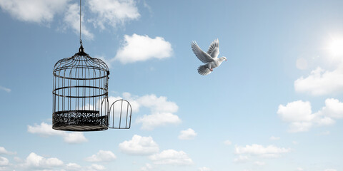 White dove flying to freedom (dove created with generative AI)