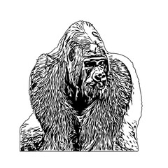 Black and white sketch of a gorilla with a transparent background