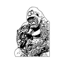 Black and white sketch of a gorilla with a transparent background