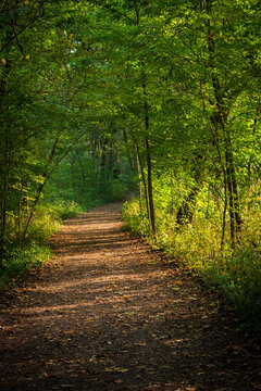 Secluded path at Sharon Woods park