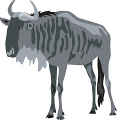 Fototapeta premium Wildebeest - vector illustration