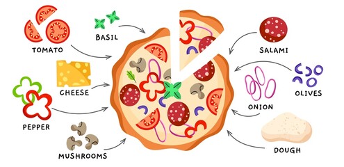 Italian pizza recipe. Different ingredients, tortilla made of dough with salami, cheese, tomatoes and olives, food elements, vector concept