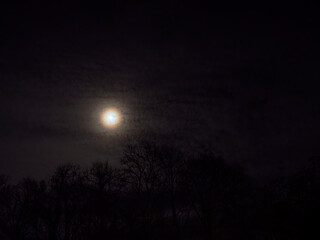 Ring Around Moon and Clouds