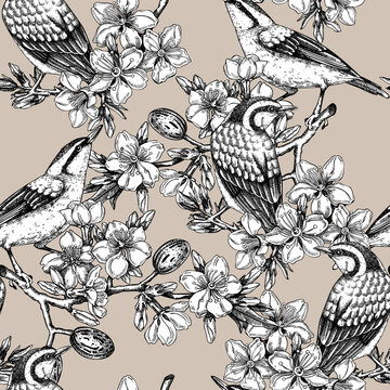 Nuthatches sitting on flowering almond branch design. Vector spring seamless pattern. Hand drawn passerine birds on blooming tree with nuts, leaves and flowers background. Delicate floral backdrop