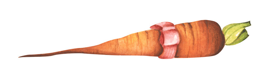Carrot for market, recipe design. Fresh vegetables.  Cartoon style. Watercolor illustration for any design.