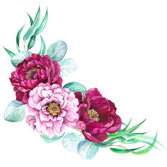 Watercolor illustration of peonies magenta and eucalyptus isolated on white background