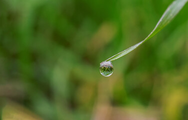 Micro dew drop