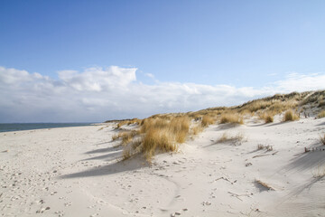 sand dunes on the beach of Sylt Germany