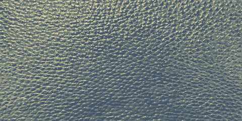 Imitation of skin texture. Surface of dermantine. Vector illustration of upholstery material