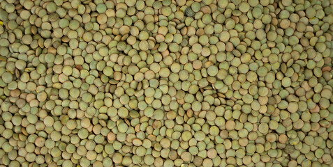 Dry green lentils. Natural background. Banner. Close-up. Top view. Selective focus.