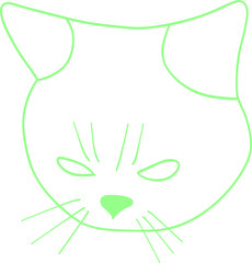 Green funny cat