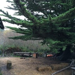 Streets and nature of United States of America