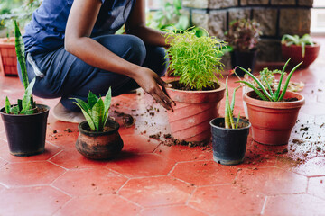 Young adult gardener is repotting, mixing organic compost in soil, in different sized pots. Variety of green house plants on red floor. Urban Jungle concept. Taking care of house plants.