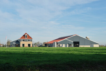 Newly built modern dairy farm with stable and house on a sunny day in Friesland The Netherlands.