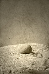 Fototapeta na wymiar Round stone in sand