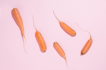 Creative food pattern with orange carrots on pastel pink background. Raw organic root vegetable concept. Agricultural texture. Minimal flat lay. Source of antioxidant β-carotene, vitamin K and B6.