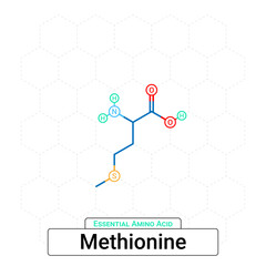 Methionine Chemical Structure Essential Amino Acid Organic Molecules, Functional, Side Chain, Carboxyl, Amino Group, Protein Building Block Isolated on Whited Background, Chemistry, Biology